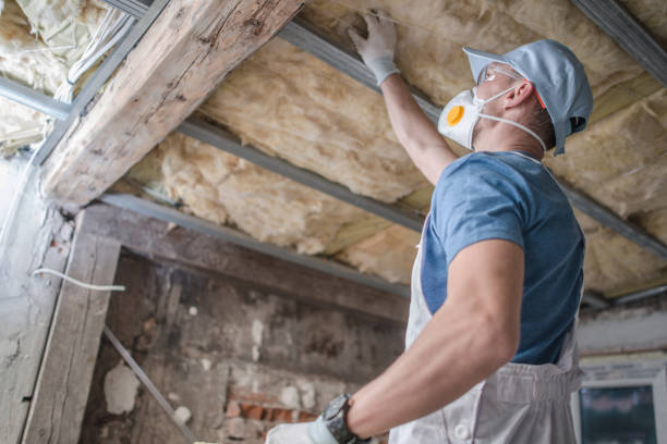 Best Cellulose Insulation in Kearney, MO