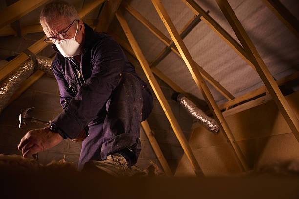 Best Residential Insulation in Kearney, MO